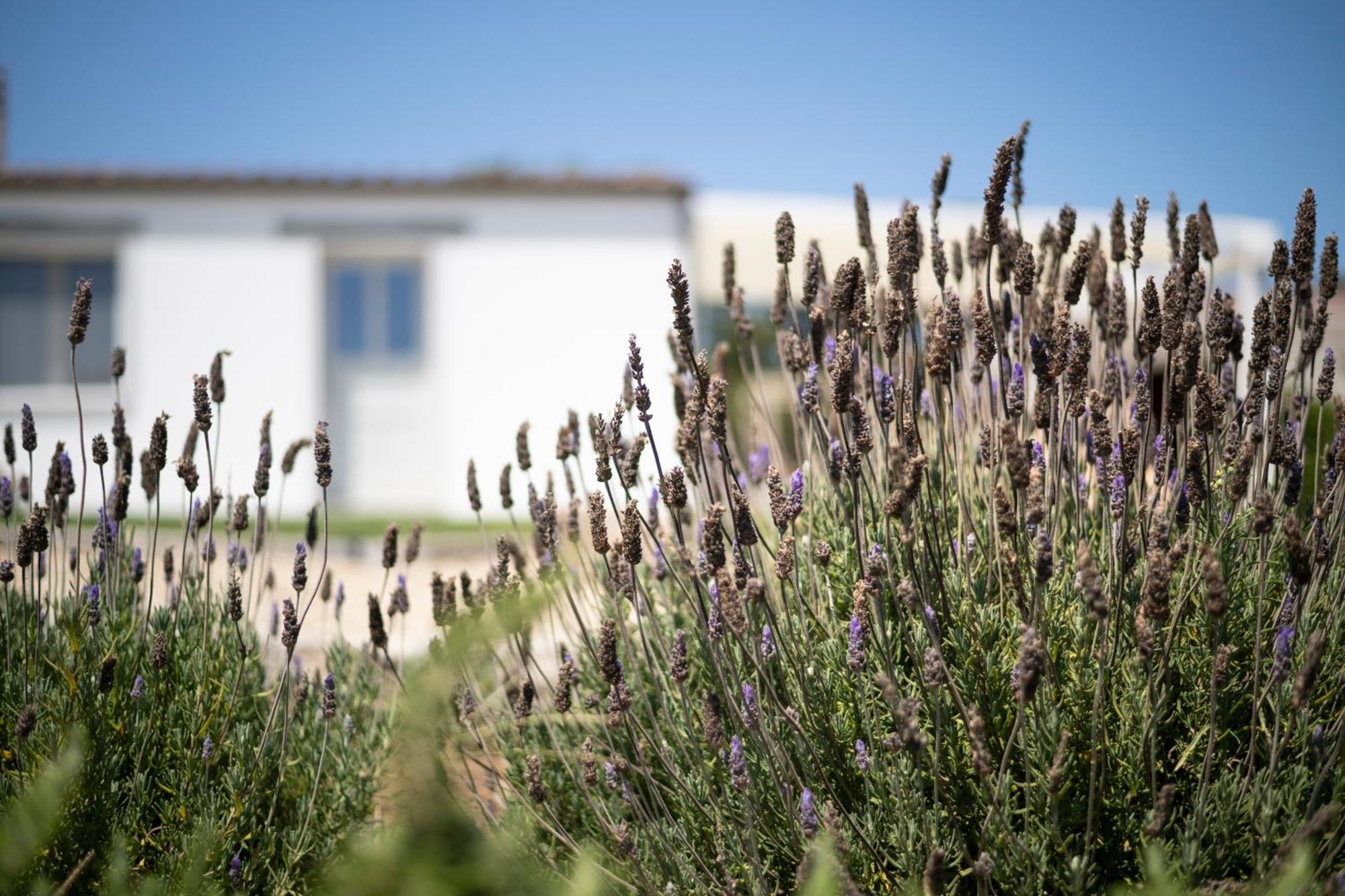 Casa Di Minnanni B&B Santa Teresa Gallura Exterior photo